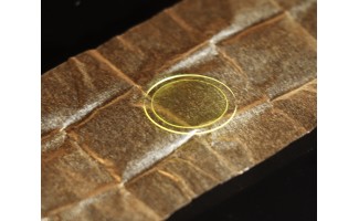 Круглые сцинтилляционные экраны GAGG(Ce) Φ10mmx0.01mm с подложками UVFS